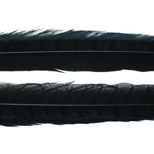 Load image into Gallery viewer, RINGNECK PHEASANT TAIL FEATHER