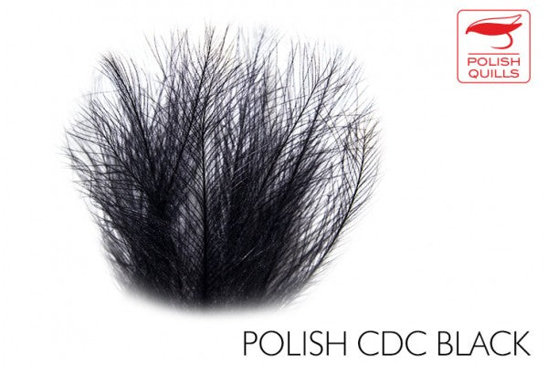 POLISH CDC