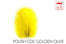 Load image into Gallery viewer, POLISH CDC
