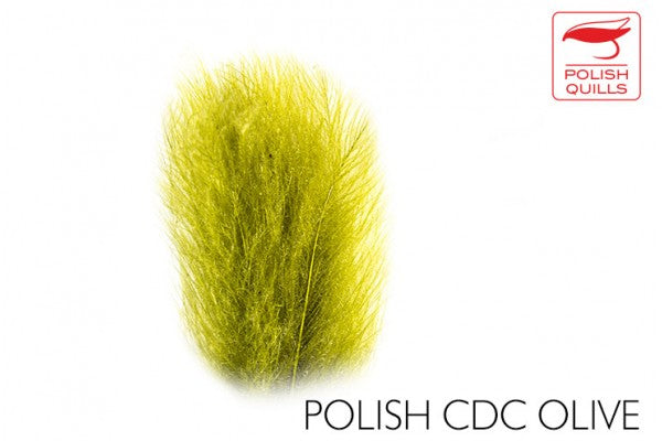 POLISH CDC
