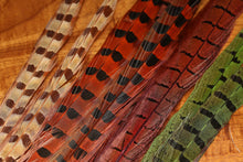 Load image into Gallery viewer, RINGNECK PHEASANT TAIL FEATHER